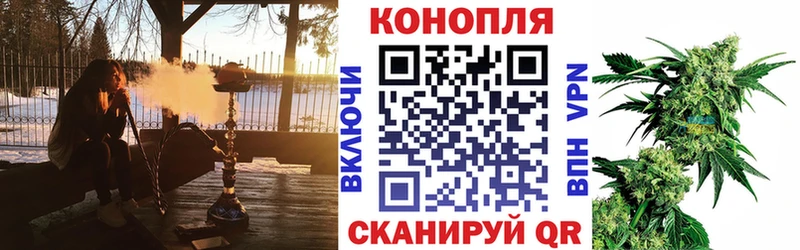 как найти закладки  Гуково  omg сайт  Бошки марихуана марихуана 